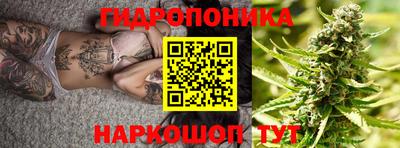 спиды Шелехов